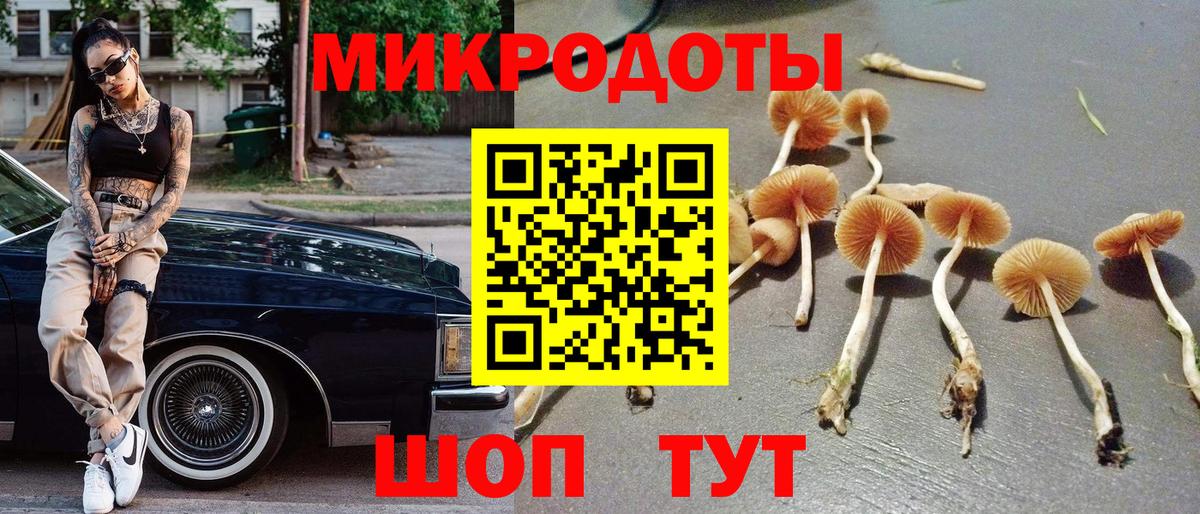 Псилоцибиновые грибы мицелий  Вход с VPN  как найти наркотики  Петрозаводск 