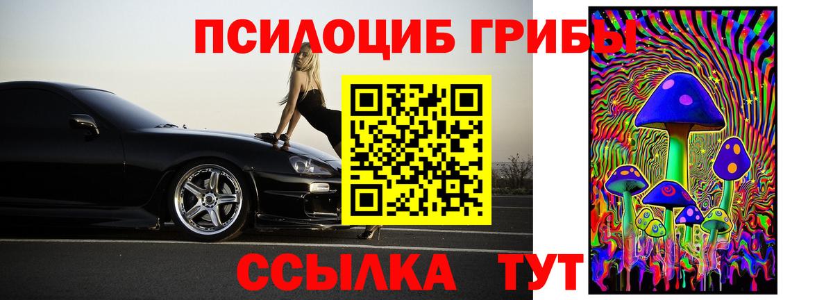 Псилоцибиновые грибы Psilocybe Петрозаводск